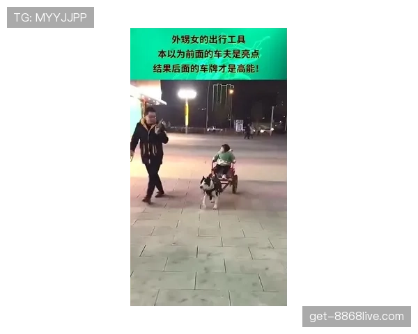 杨威遛狗照里那块表亮到犯规，路人都以为走错片场